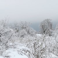 Зима :: Aleksey Litovchenko
