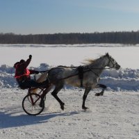 Пошла,милая.... :: nadyasilyuk Вознюк