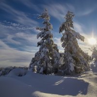 Зимушка. :: Виктор Гришенков