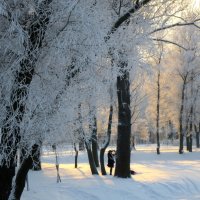 наш человек :: Елена 