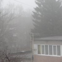 туман :: kate grayeyed
