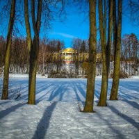 Длинные, длинные тени. :: Александр Валяев