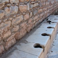 Эфес. Древний туалет и его новые обитатели :: vadimka 