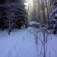 Воспоминание о зиме! :: Серж Поветкин