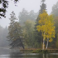 Осенний туман :: Алёнка Шапран