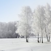 Зима :: Елена Сергеева