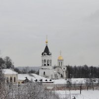 Вид на Богородице-Рождественский монастырь :: Надежда Чернышева