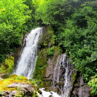 Водопад "Птичий клюв" :: Светлана Петошина