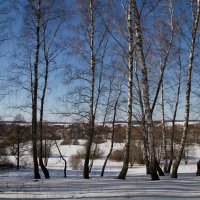 *** :: Анастасия Мельник