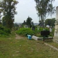 Старое  кладбище  в  Черновцах :: Андрей  Васильевич Коляскин