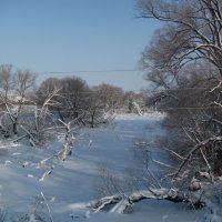 Угодья Кикиморы (30.12.2015) :: Наталья Кочетова 