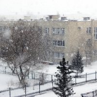 Зима не сдаётся :: раиса Орловская