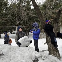 Композиционные фото сочинения на тему : ,, Проводы зимы " :: Николай Сапегин