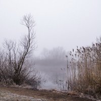 Утренний туман :: Елена Пономарева