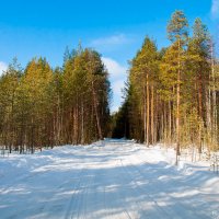 Весеннее настроение :: Яна Старковская