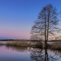 Краски рассвета. :: Владимир Фисенко