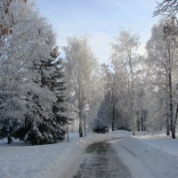 Дорожка в зимнем парке :: Сергей Тагиров