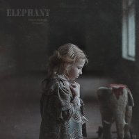 Elephant :: Надежда Шибина