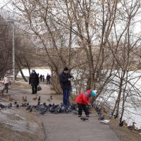 Кормление птиц на берегу пруда :: Svetlana Shalatonova