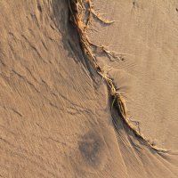 Графика на песке :: Надежда Кунилова