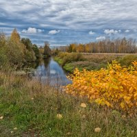 Октябрь :: Владимир Шамота