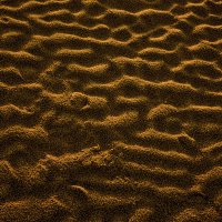 Ритм песка. Отлив :: Gennadiy Karasev