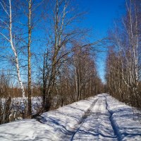 Весна :: Андрей Дворников