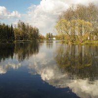 Зеркало природы :: Елена Пономарева