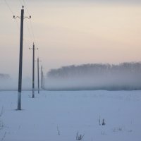 Туманное утро с вороной :: Ольга Алеева
