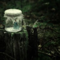 Сказки ночного леса :: Наталья Кравченко