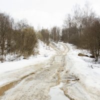 Весенняя дорога :: Екатерина Маринина