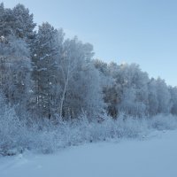 Берег озера :: Владимир Звягин