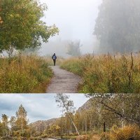 Туман и без. :: Светлана Еланцева