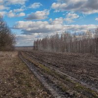 Весна :: Александр Овчаров