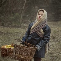 Последний урожай! :: Аркадий Краснояров