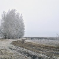 Осенний туман :: Brusnikin_SN Брусникин Сергей