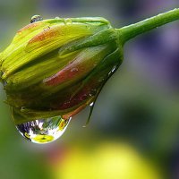 water_drops :: ~ Backstage ~ N.