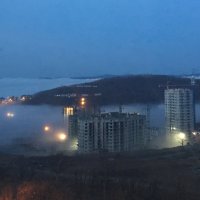 Туман уползающий в море :: Ольга Давыдова