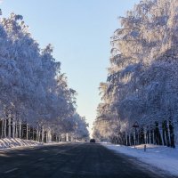 Зимняя дорога :: Алёнка Шапран