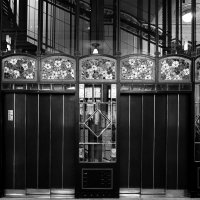 Модерновый лифт ... :: Лариса Корженевская