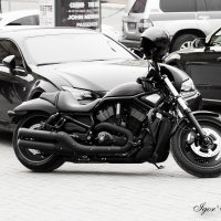 Harley Davidson :: Игорь А. Сироткин