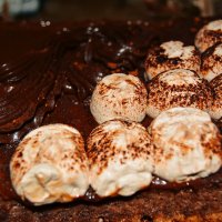 шоколадный торт :: Света Кондрашова