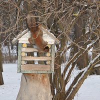 На обед не зовут..придём сами..)) :: tipchik 