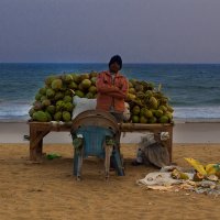 продавец кокосов на берегу :: Светлана Фомина