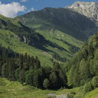 В горах Абхазии :: Natalia Furina