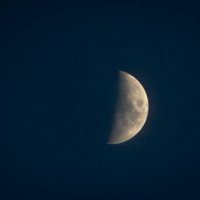 Луна :: Дина Горбачева