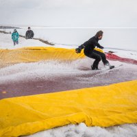 *** :: Дмитрий Шкредов