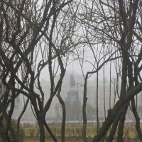 в тумане :: Елена 