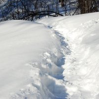 Тропа снежного человека :: Arcadii Mayrhofen 