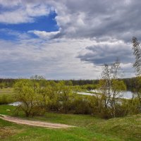 В  дубраву. :: Валера39 Василевский.